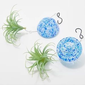 Ultimate Innovations Set of 2 Glass Jellyfish w/ Faux Plants